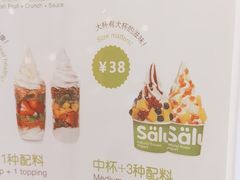 -Salud撒露欧洲冻酸奶(蓝色港湾店)