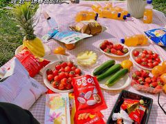 -汉长安城未央宫国家考古遗址公园