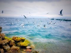 -抚仙湖禄充风景区