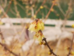 -山东大学(软件园校区)