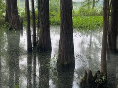 -东湖落雁景区