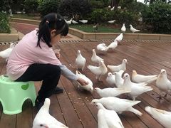 -南昌之星游乐场