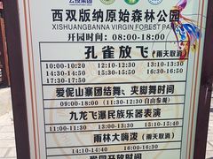 -西双版纳原始森林公园