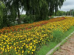 -绥化市森林植物园