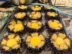 -日月昇渔家菜·海肠捞饭·大连海鲜(星海公园店)