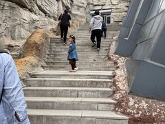 -辽宁古生物博物馆