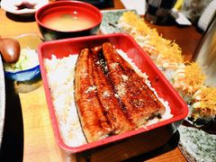 鳗鱼饭-千代武日本料理(爱建店)