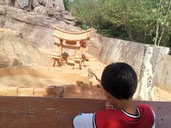 -辛玛王国游乐园