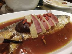 酒糟蒸鲥鱼-阿英煲(凉城路店)