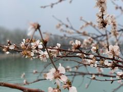 -颐和园