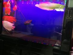 大堂-万鑫鸡翅