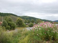 -莫尔道嘎国家森林公园