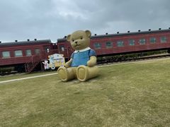 -菊园百果园