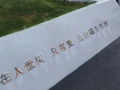 -荷兰花海