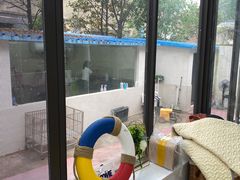 -翊宠yipet猫狗购宠庄园犬舍•猫舍