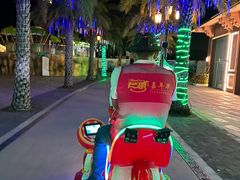 -三亚海昌梦幻海洋不夜城