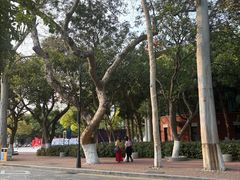 -厦门大学(思明校区)