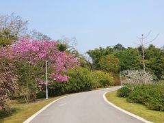 -中国科学院西双版纳热带植物园