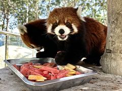 -水上乐园·欢乐世界