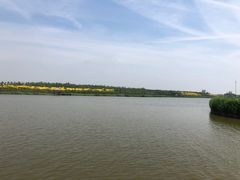 -西青郊野公园