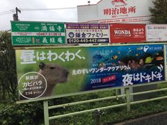 -灌篮高手动画打卡地
