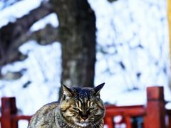 -终南山南五台景区