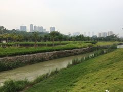 -广西壮族自治区药用植物园