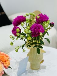 -WENDY·温迪皮肤管理