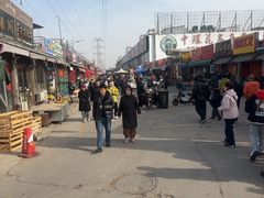 -中环花鸟鱼虫市场