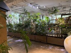 -大视光学•LINDBERG林德伯格•全球手工眼镜集合店(王府井店)