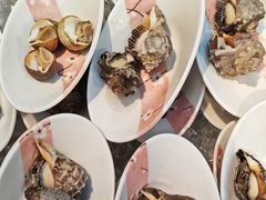 -半岛听涛蒸汽海鲜自助(K11店)