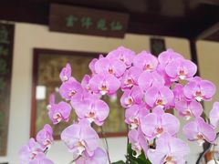 -留园