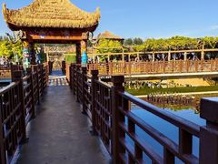 -呀路古热带植物园