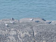 -白城沙滩