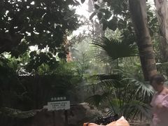 -龙达温泉生态城