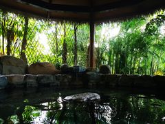 -厦门日月谷温泉渡假村