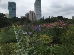 -鑫花溪牛肉米粉(人民广场店)
