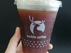 龙眼冰萃咖啡-瑞幸咖啡(新浩e都店)