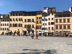 -圣母百花大教堂穹顶