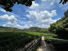-西湖风景区十里琅珰-五云山