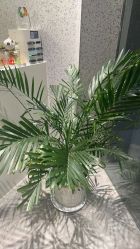 -LJOY丽锦造型·烫发染发