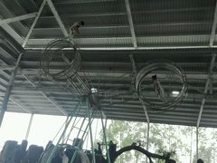 -泉州海丝野生动物世界