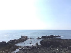 -涉地可支