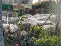 -太阳岛度假酒店