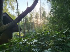 -苏州河梦清园环保主题公园