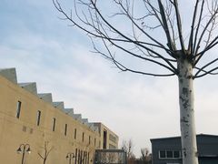 -中央戏剧学院(昌平校区)