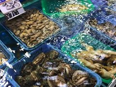 -清水湾3号(东方小周海鲜店)