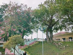-龙环葡韵住宅式博物馆