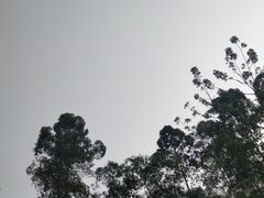 -火炉山森林公园