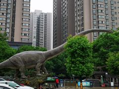 -陕西自然博物馆